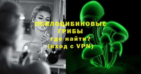 ГАЛЛЮЦИНОГЕННЫЕ ГРИБЫ Алексин
