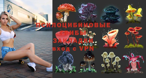 ГАЛЛЮЦИНОГЕННЫЕ ГРИБЫ Алексин